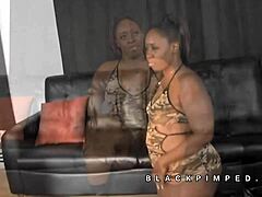 Jazzy Lixx kniet vor ihrem Zuhältermeister in einem Ghetto