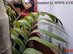 ¡La ama de casa india disfruta del sexo al aire libre en el jardín mientras usa un saree! ¡No te pierdas esta escena caliente!
